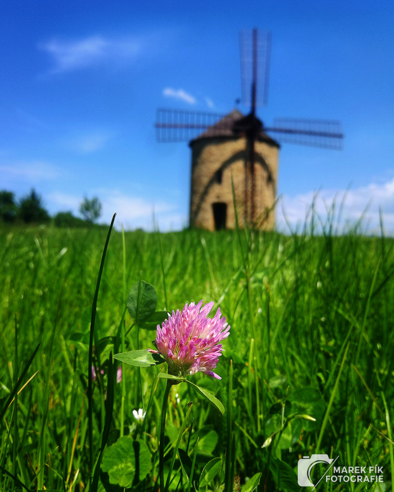 Větrný mlýn Jalubí