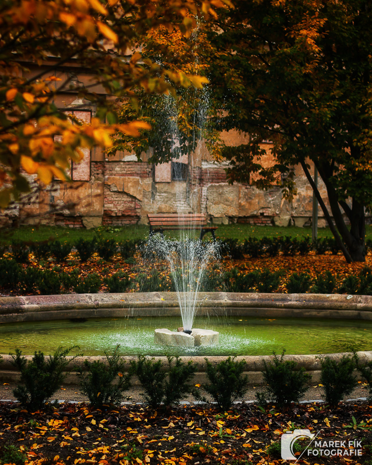 Podzimní fotografie