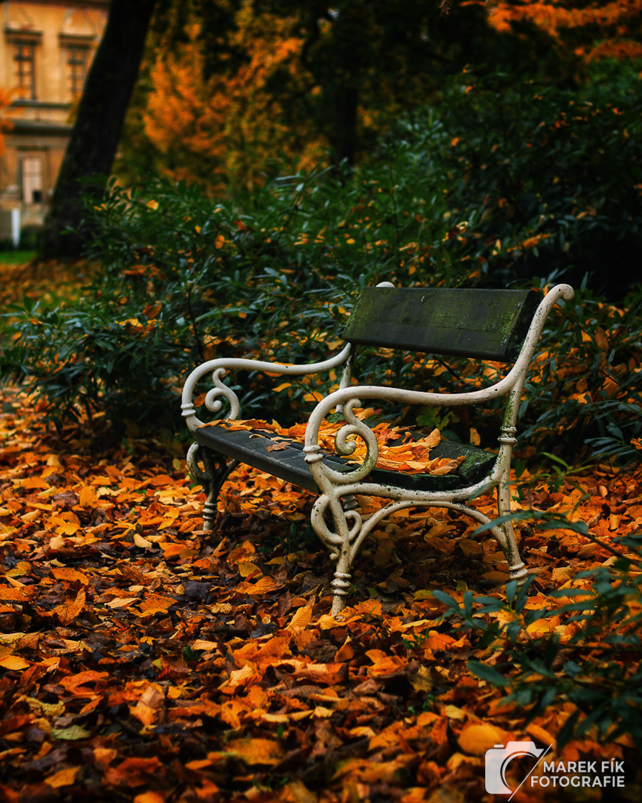 Podzimní fotografie