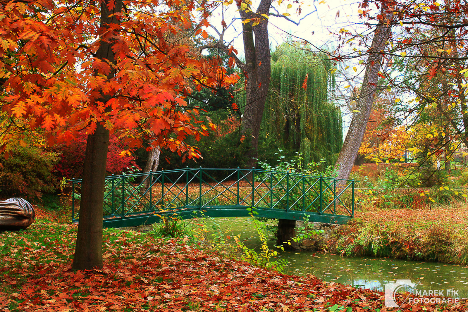 Podzimní fotografie