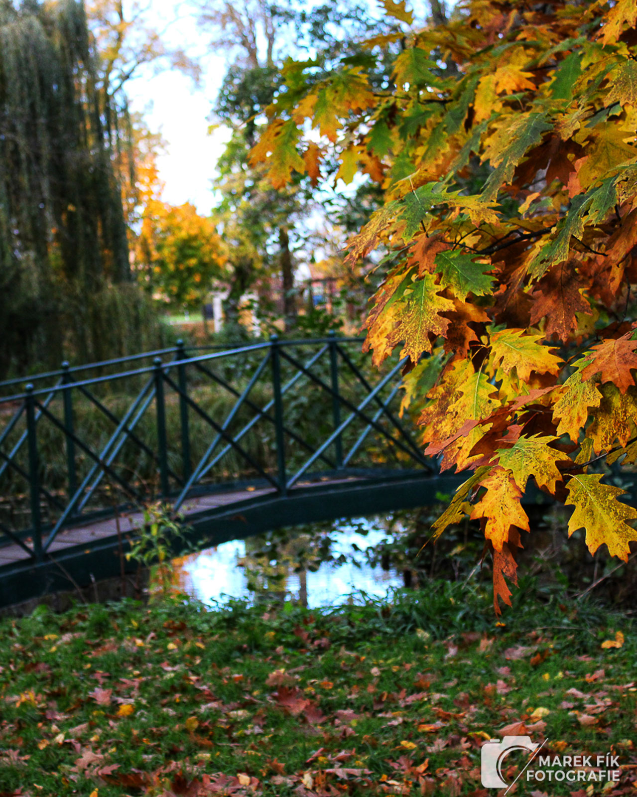 Podzimní fotografie