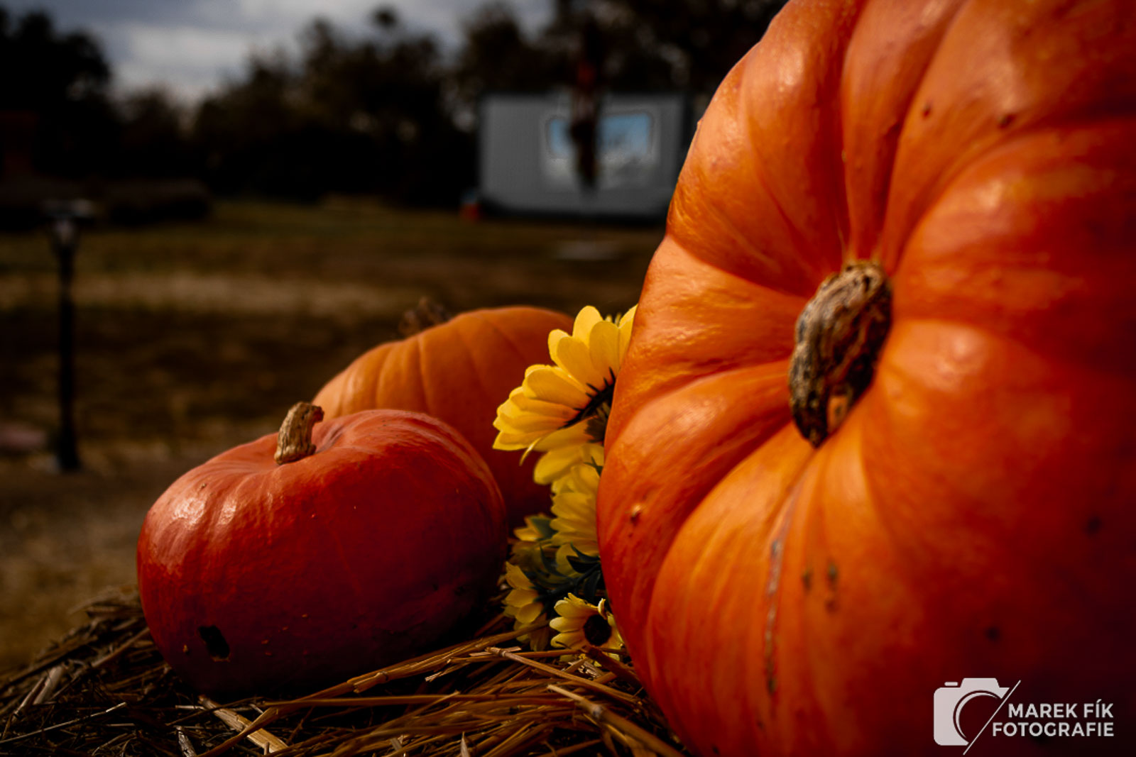 Drnholec svět bludišť