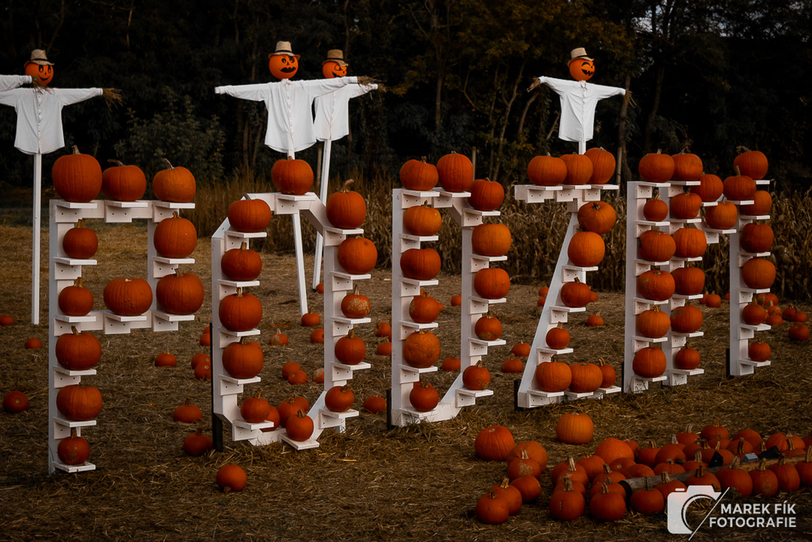 Drnholec svět bludišť